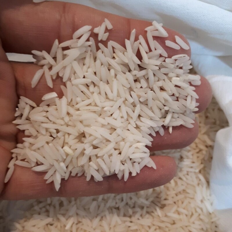 برنج شیرودی شمال  برادران پولادی کیفیت پخت  تضمینی (10 کیلویی)