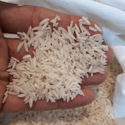 برنج شیرودی شمال برادران پولادی کیفیت عالی با طمع واقعی (10 کیلو گرم )