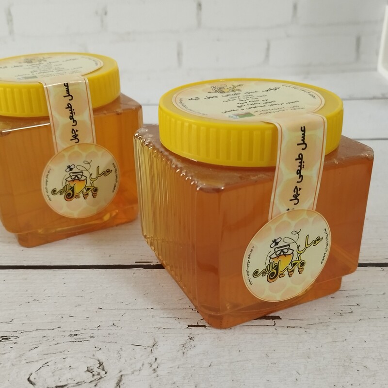 عسل پاچیل طلایی تغذیه شده 1کیلوگرمی