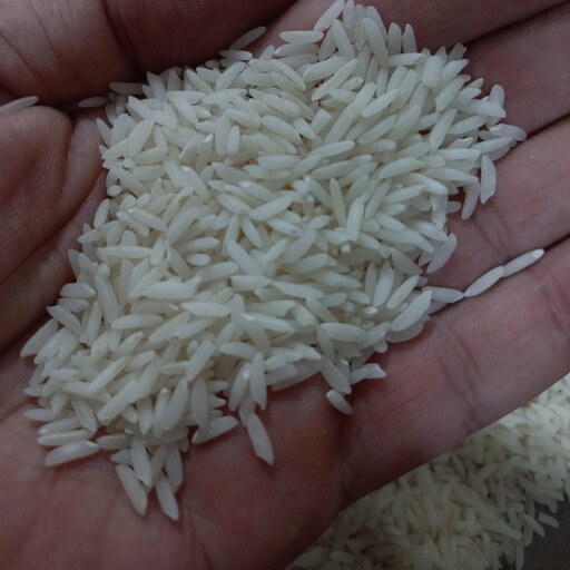 برنج هاشمی درجه یک گیلان بسته پنج و ده کیلویی