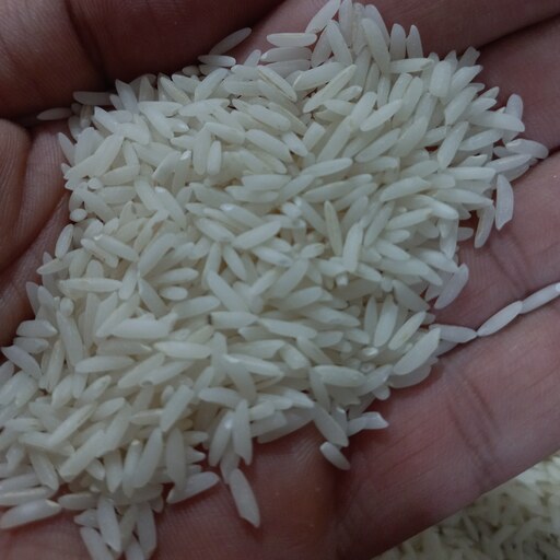 برنج هاشمی درجه یک گیلان بسته ی 5 کیلویی