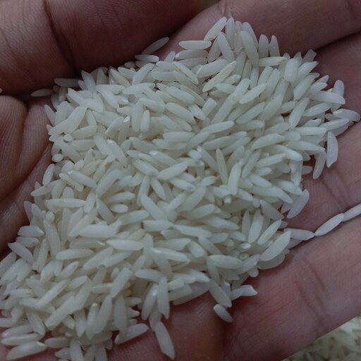 برنج هاشمی درجه یک گیلان بسته 10 کیلویی