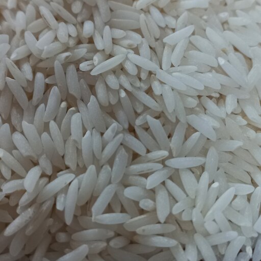 برنج هاشمی درجه یک گیلان بسته ی 20 کیلویی