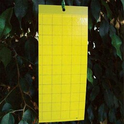 کارت زرد جلب کننده حشرات (بسته 5 عددی)
