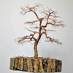 درختچه تزئینی سیمی بونسای