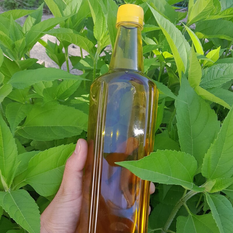 روغن زیتون خالص 5لیتری (فرابکر تصفیه شده بدون بو )با تضمین قیمت و ضمانت کیفیت از باغدار خرید کنید روغن زیتون درجه یک