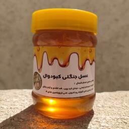 عسل خام جنگلی نمدار ساکارز زیر  یک خالص و درمانی یک کیلویی با ضمانت مرجوعی