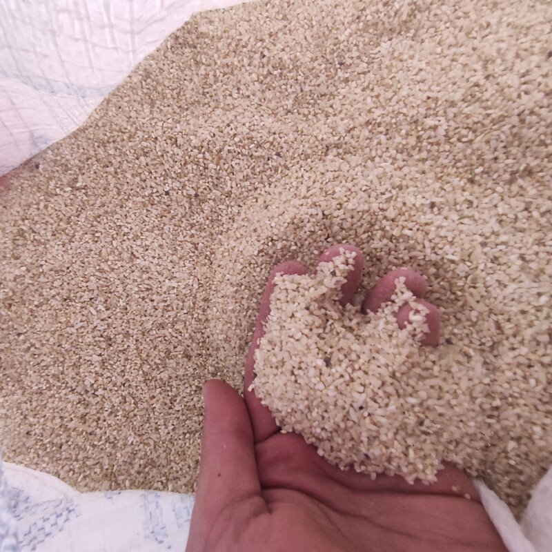برنج خورده چمپا میلاس