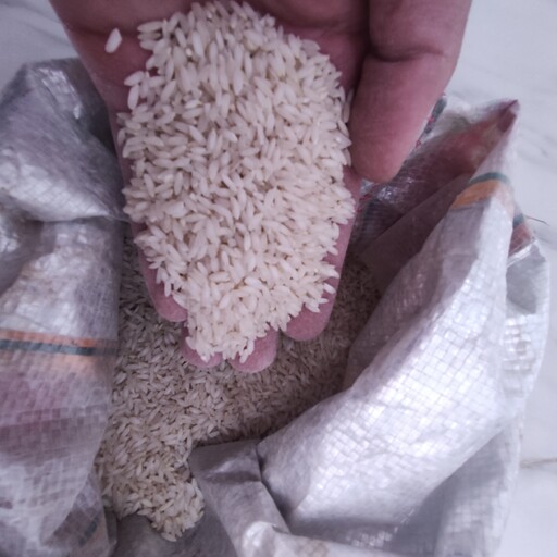 برنج چمپا اصل و تضمینی