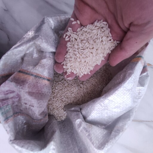 برنج چمپا اصل و تضمینی