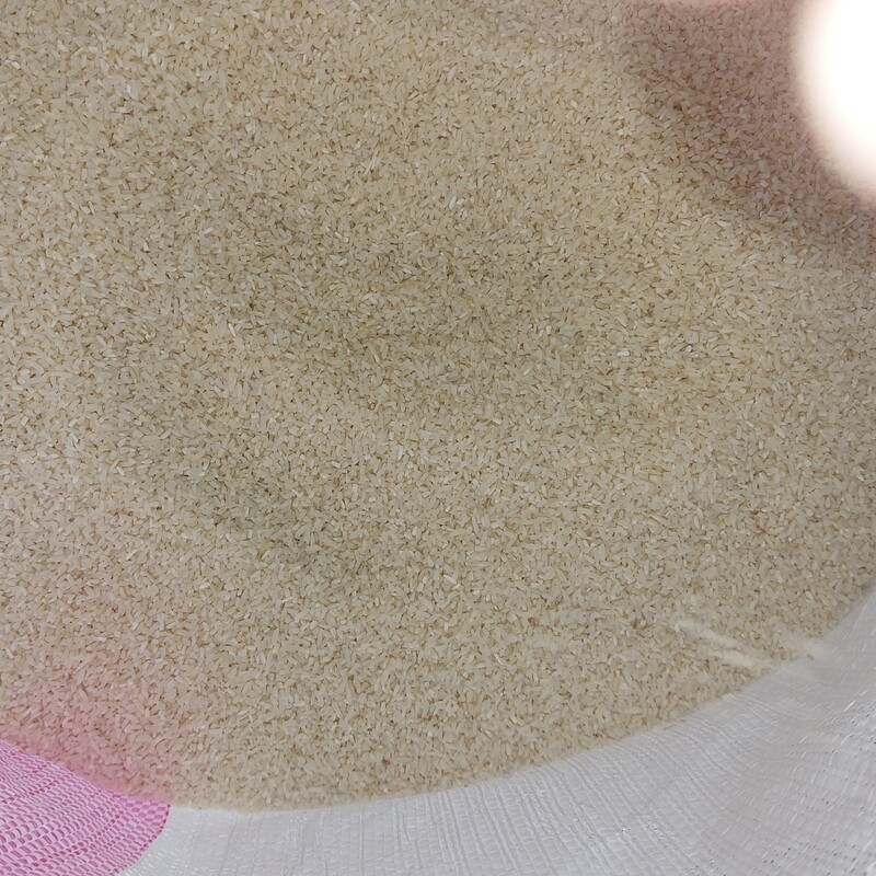لاشه درجه یک برنج طارم هاشمی محلی فریدونکنار  بسیار عالی و دارای برنج کامل