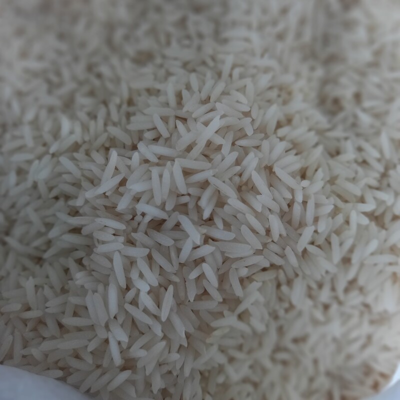 برنج طارم شیرودی دانه بلند درجه1 شمال کیسه 10 کیلویی مناسب