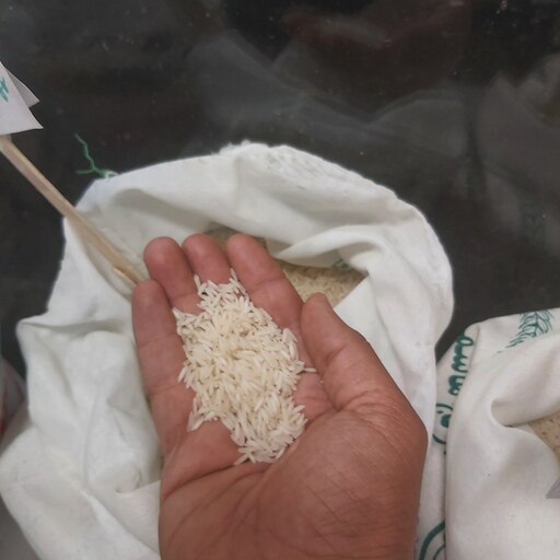 برنج معطر فجر ایرانی شمال درجه 1 با پخت عالی و ارسال رایگان درب منزل