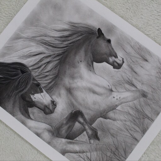 نقاشی سیاه قلم- دو اسب- ابعاد 32در26