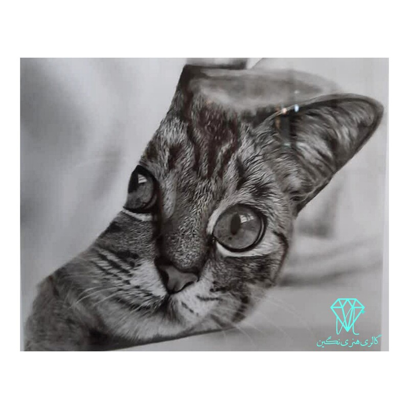 تابلو نقاشی سیاه قلم طرح گربه (دارای قاب و پاسپارتو) با ابعاد 45 در 35