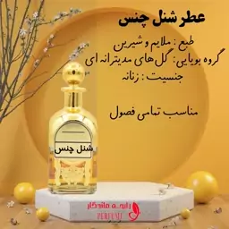 عطر شنل چنس زنانه جذاب شیشه 10 گرمی