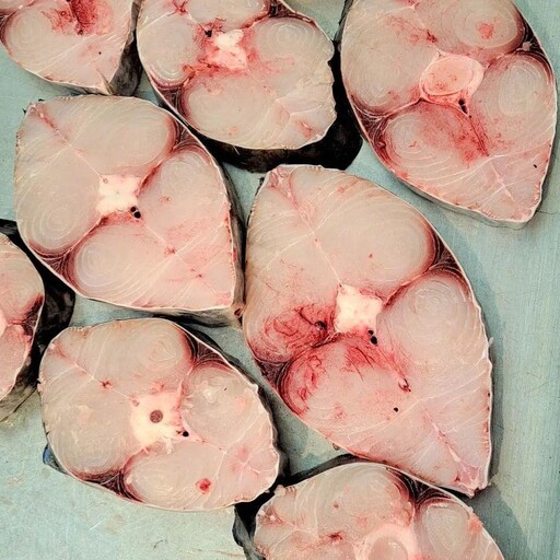 ماهی شیر یکی ازپرطرفدار ترین ماهی بوشهر جز ماهی صادراتی گوشت سفید بدون بو، شیر جوان 295