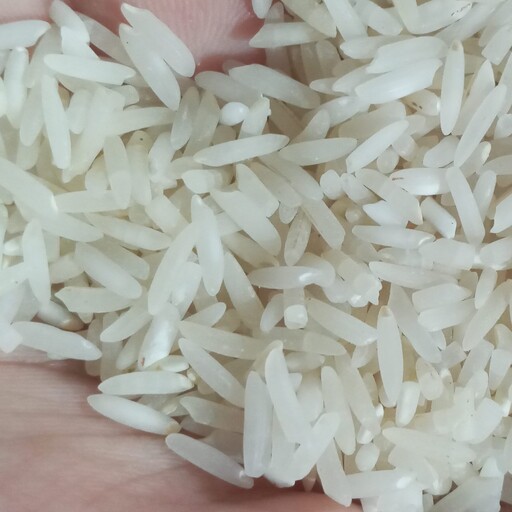 برنج طارم  هاشمی   10 کیلویی بوجار شده