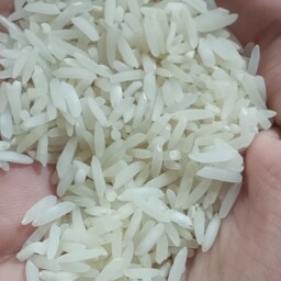 برنج طارم هاشمی 10کیلویی مازندران