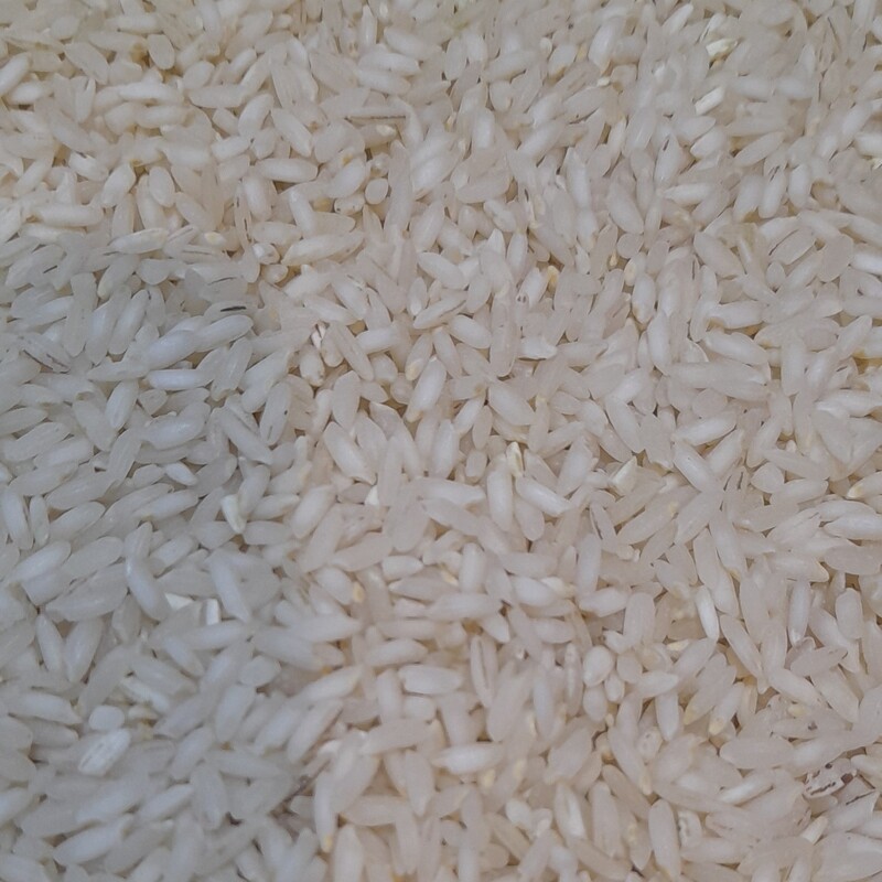 عرضه مستقیم برنج عنبربو بسیار عالی به شرط پخت کیسه 10 کیلویی 