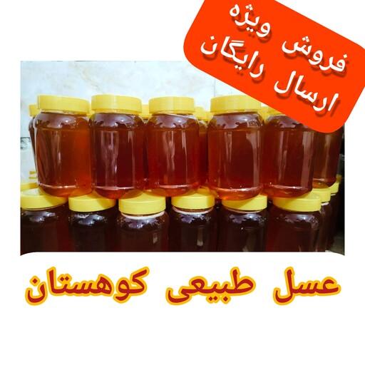 عسل طبیعی درمانی کوهستان فروش عمده 10 کیلویی(مستقیم از زنبوردار)