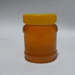 عسل طبیعی دیابتی نیم کیلویی