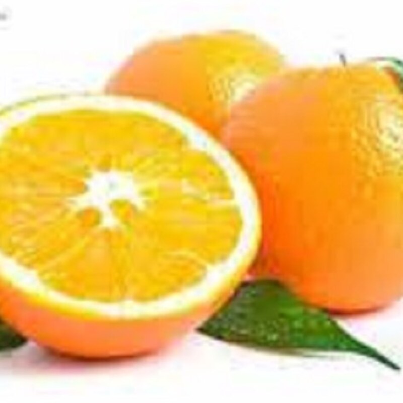نهال پرتقال کم اسید