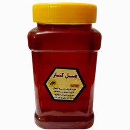 عسل کنار  طبیعی یک کیلویی خرید از زنبوردار  ارسال رایگان در اصفهان