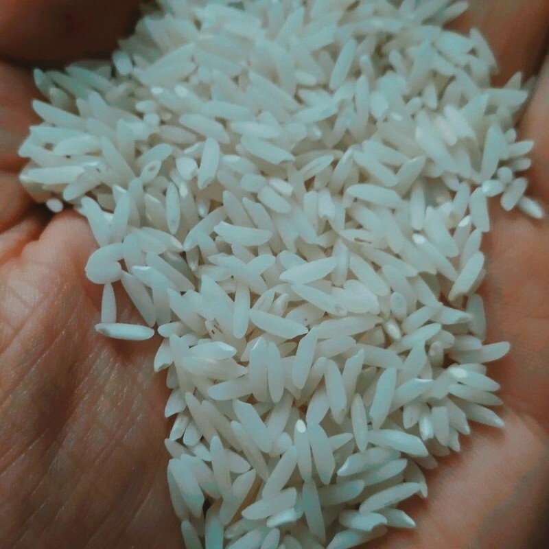 برنج خوش عطر و طعم طارم هاشمی فرد اعلا مزارع سیاه دشت محمودآباد 30 کیلویی