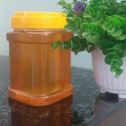 عسل بهاره  چندگیاه امسالی کیفیت و طعم خوب 1 کیلویی(خرید مستقیم از زنبوردار)