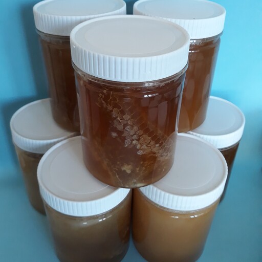 عسل طبیعی چهل گیاه همراه با موم (950 گرمی)