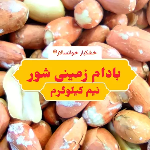 بادام زمینی شور ( نیم کیلوگرم) خشکبار خوانسالار