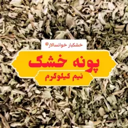 پونه خشک خوانسار ( نیم کیلوگرم) خشکبار خوانسالار