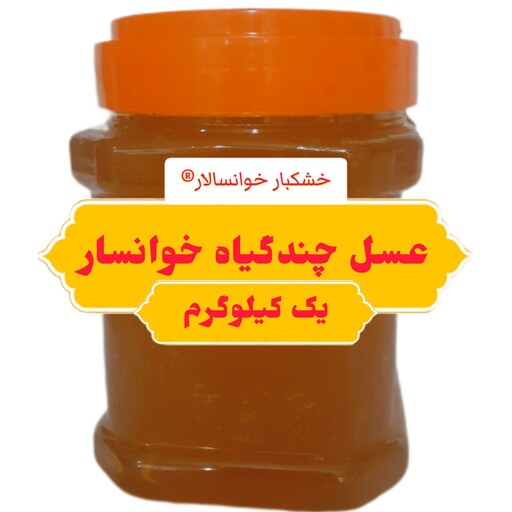 عسل چند گیاه خوانسار ( یک کیلوگرم) خشکبار خوانسالار 