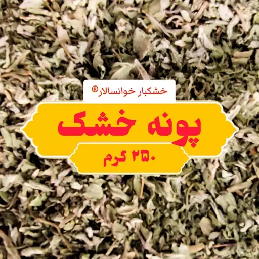 پونه خشک باغی خوانسار ( 250 گرم ) خشکبار خوانسالار