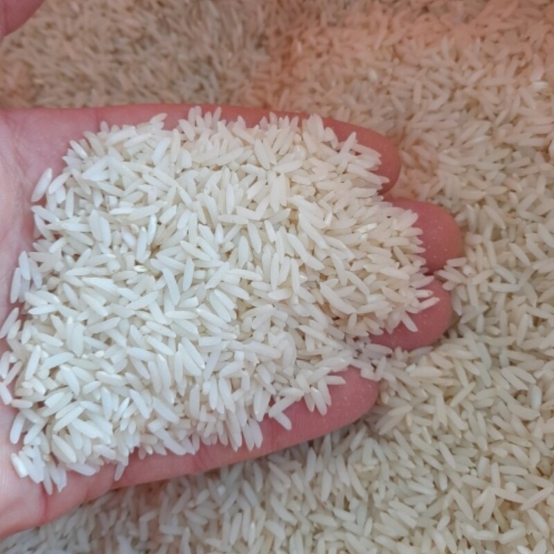 برنج هاشمی  معطر(درشت) گیلان بسته10 کیلویی