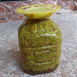 ترشی بنه خانگی وارگانیک 10کیلو  ارسال فقط باربری  و پس کرایه