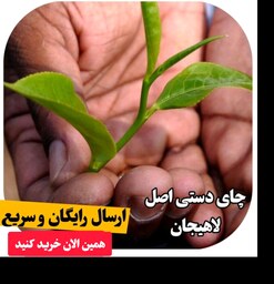 چای لاهیجان سیاه دستی سنتی چای دستی کارگاه  450 گرمی و ارسال رایگان به سراسر کشور چای ایرانی شمال کشور 