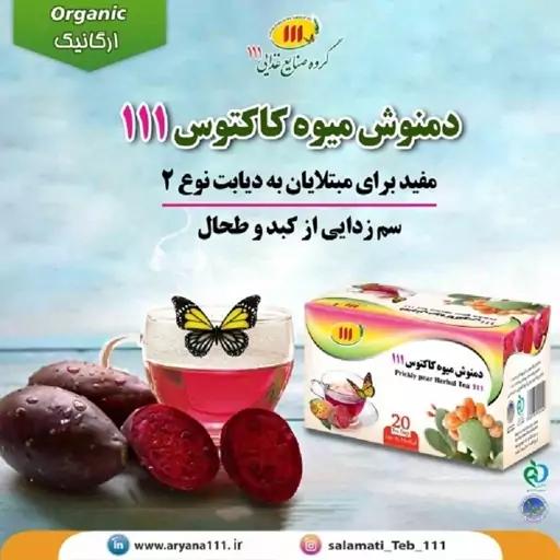 دمنوش گیاه کاکتوس 111