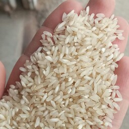 برنج عنبربو جنوب درجه یک امساله سورتینگ و کاملا الک شده بسته بندی 2 کیلویی