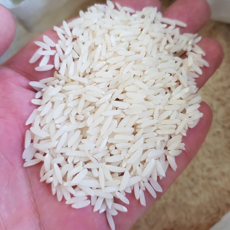 برنج طارم فریدونکنار کشت دوم(5کیلو)
