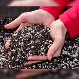خاک کوکوپیت و پرلیت پرورش حلزون وزن 6 کیلو