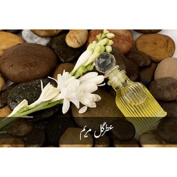 عطر گل مریم طبیعی و خالص با خواص آرامبخش و ... غرفه آنلاین شاپ محمد