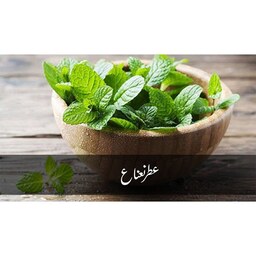 عطر نعنا طبیعی و خالص با خواص آرامبخش و ... غرفه آنلاین شاپ محمد