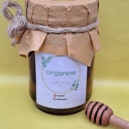 عسل 1 کیلویی جنگلی (شهد) در بسته بندی مخصوص ارگانیو