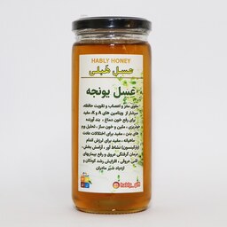 عسل طبیعی یونجه برند هَبلی (600 گرمی)