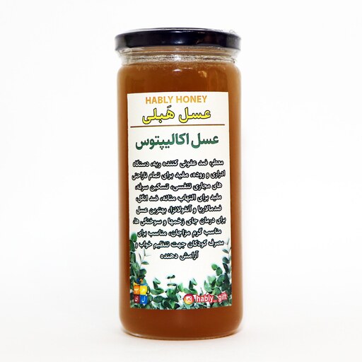 عسل طبیعی اُکالیپتوس برند هَبلی (600 گرمی)