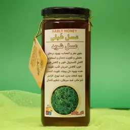 عسل طبیعی گیاه شوید برند هَبلی (شیشه 600 گرمی)