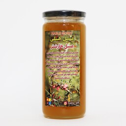 عسل طبیعی خارشتر برند هَبلی (600 گرمی )