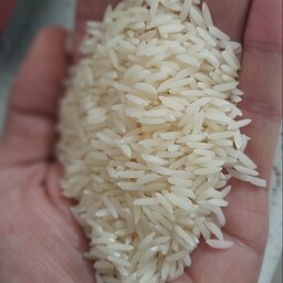 برنج هاشمی اعلا درجه 1 گیلان سورتینگ 10کیلویی (هزینه ارسال با خریدار و پسکرایه میشود)